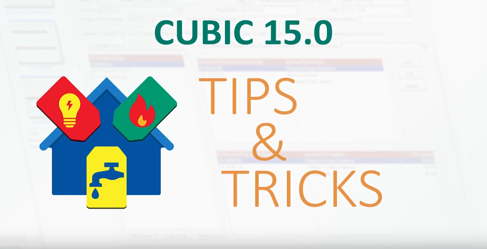 Municipal Software CUBIC Tips & Tricks